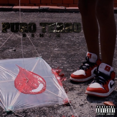 Puro Terro (feat. Braun Og Boy, Cainclue ii, Zelcok Kp & Taylor Sc) [REMIX] - Single