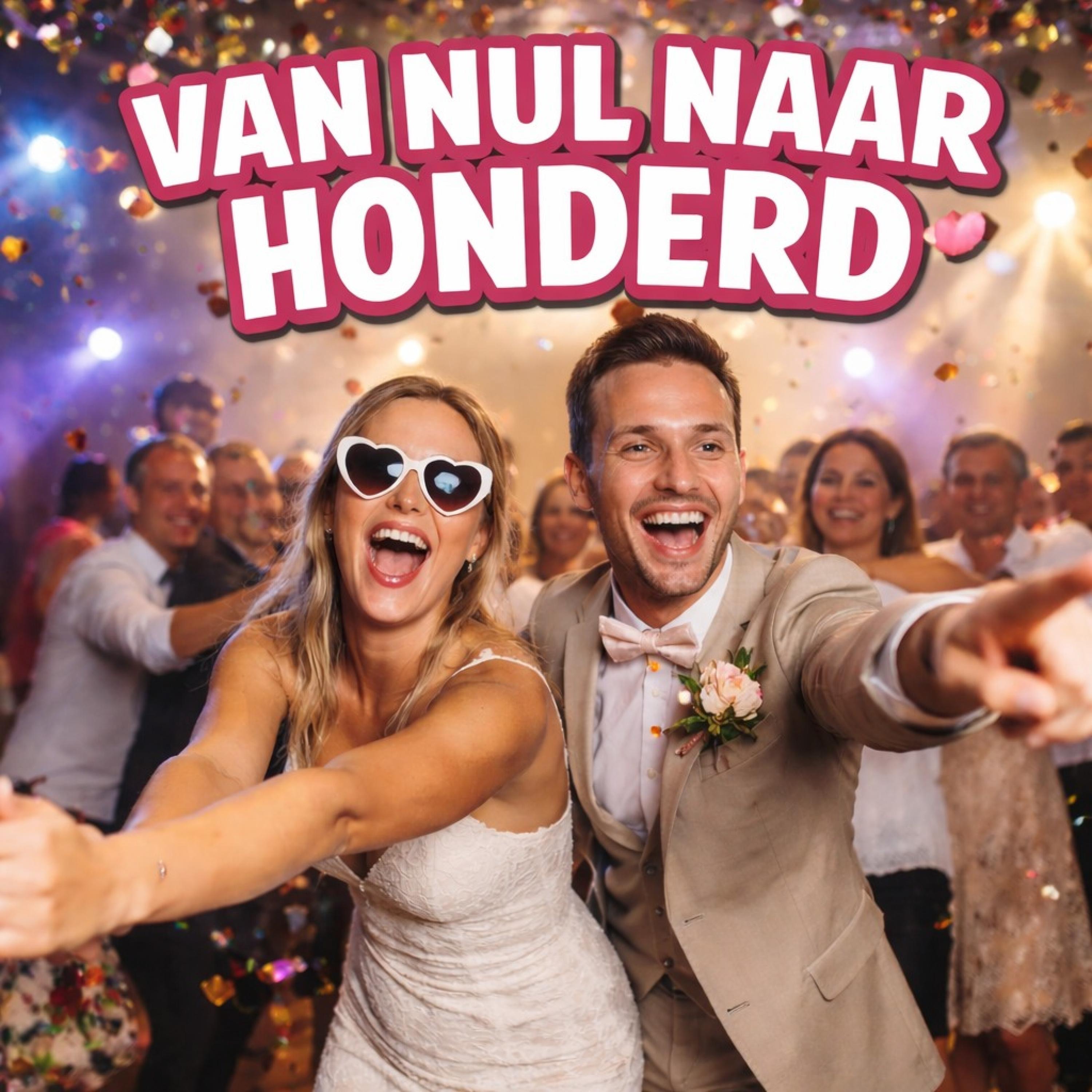 Van nul naar honderd - Single