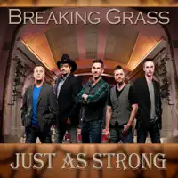 Whatever You Need — Breaking Grass