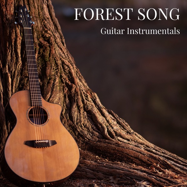 Forest Song: Instrumental Guitar Harmony