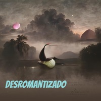 Desromantizado - Single - MC Berin & Max Pontes