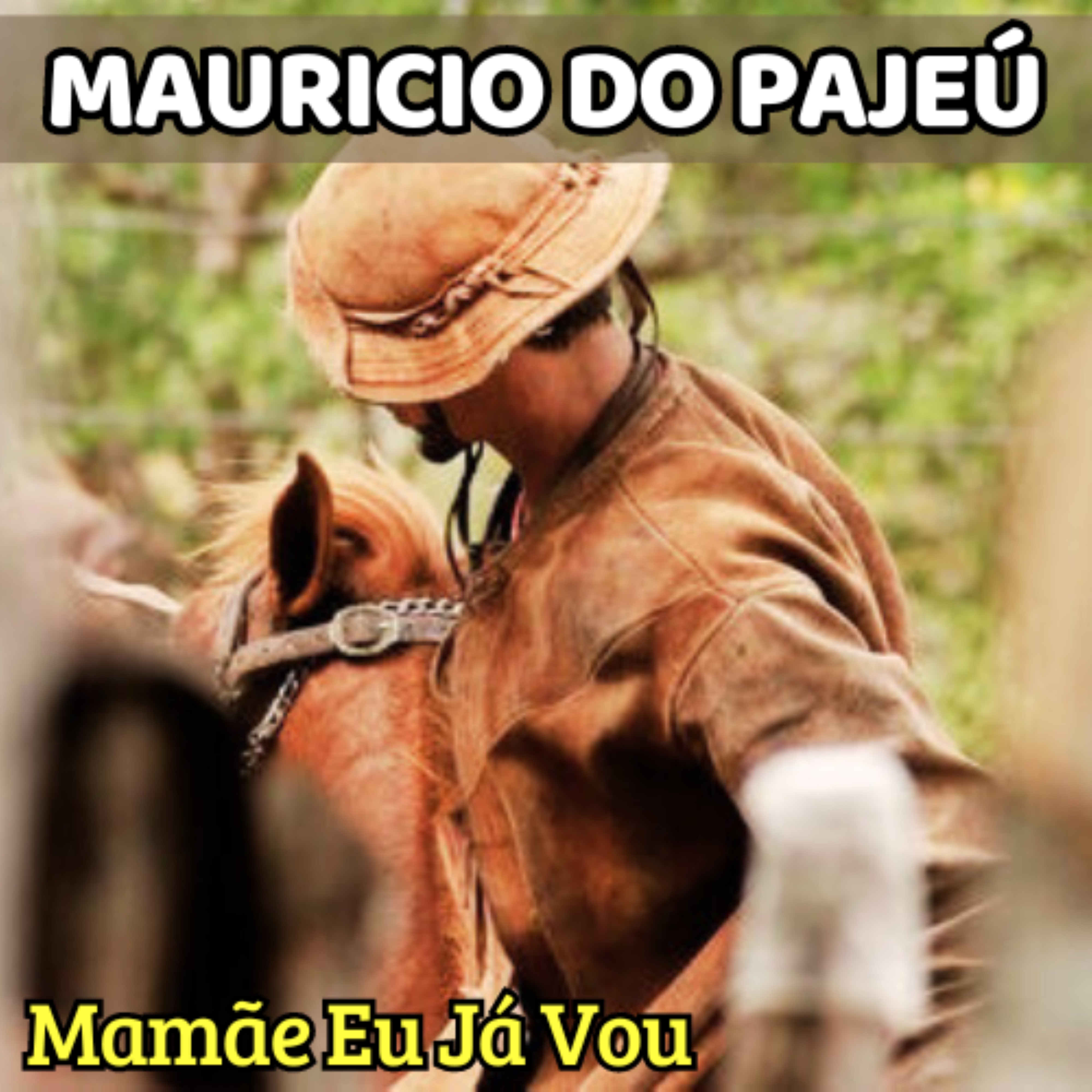 Mamãe Eu Já Vou