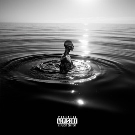 Seul dans la mer Illustre