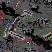 Revolution (feat. MC DADDY G) - Single - Jakeeq