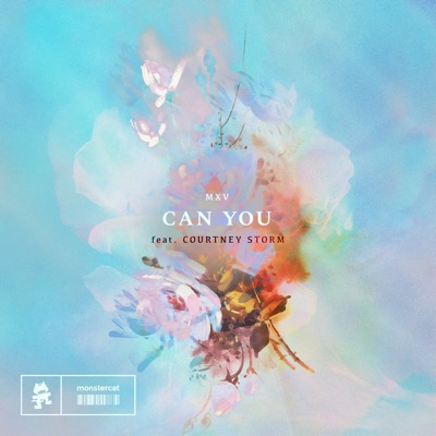Can You (feat. Courtney Storm) - Single