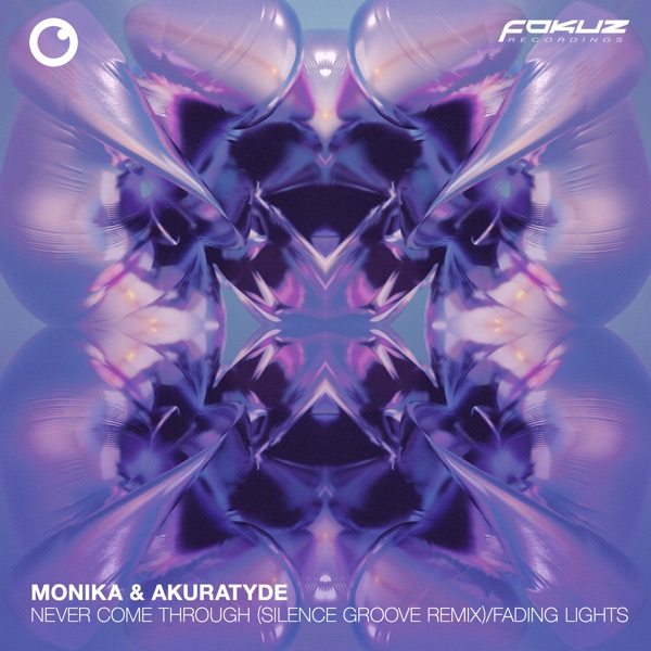 Never Come Through (Silence Groove Remix / Fading Lights - Single