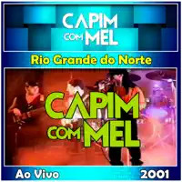 A massa - Ao Vivo — Capim com Mel