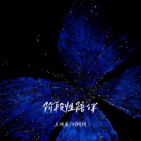 阶段性陪伴 - Single - 王忻辰 & 刘枝枝
