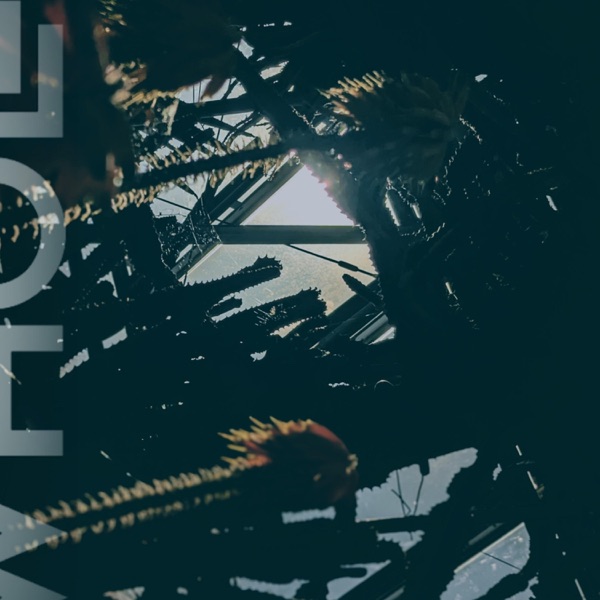 I Am Your Shadow (Alternate)