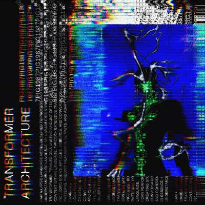 TRANSFORMER ARCHITECTURE - Single