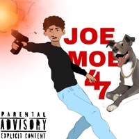 Screwd Up Freestyle - Single - Joemoee47