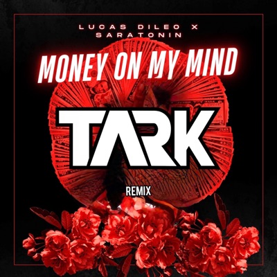 Money On My Mind (TARK Remix) - Single