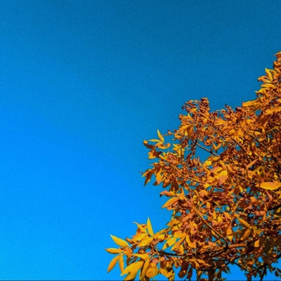 summers gone and so are you - Single