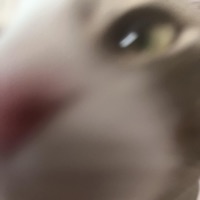 how i feel (chasing cars) - Single - Liquid $moke