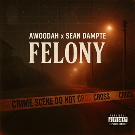 Felony Sean Dampte