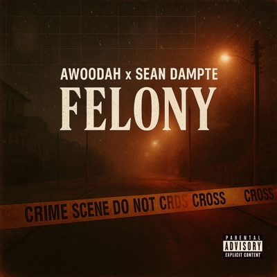 Felony - Single