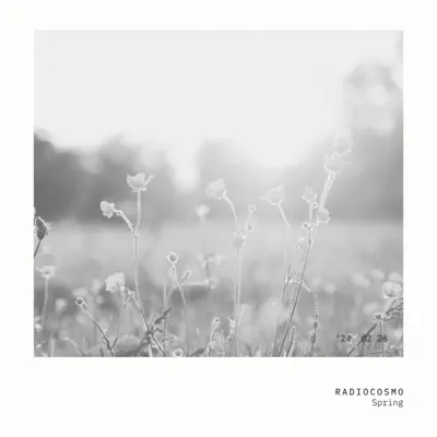 Poslechněte si Spring - Single od interpreta Radiocosmo