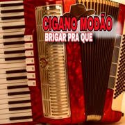 Não Faz Assim Comigo Não - Cigano modao