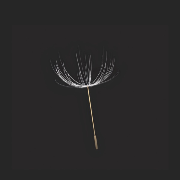 Cover of Never Be Apart (feat. Melllo) - Single