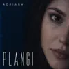Plangi
