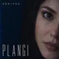 Plangi