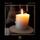 Candle Lights Single
