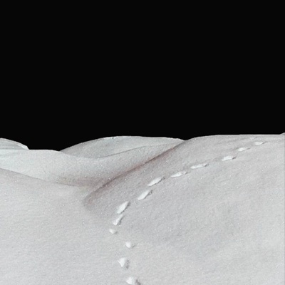 Не ввязывайся - Single