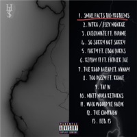 Small Facts, Big Problems - Single - Mahoney $