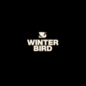 How Many? - Winter Bird Cover Art