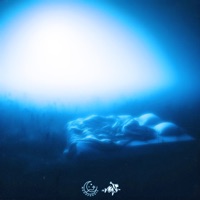 wake up - Single - SadMehr & vibe