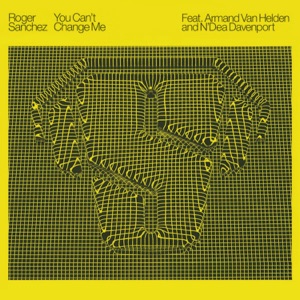 You Can't Change Me (feat. Armand Van Helden & N'Dea Davenport)