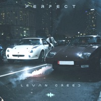Perfect - Single - LEVAN CREED
