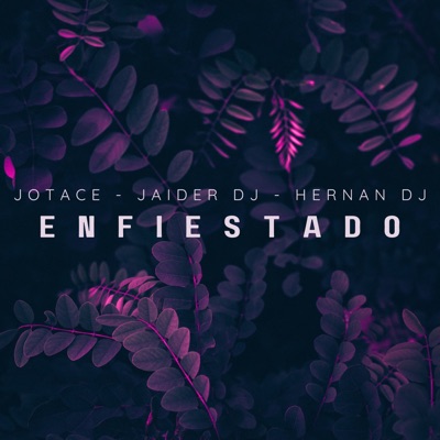 Enfiestado (feat. Jaider Dj, Hernan Dj) - Single