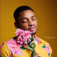 Falling For You — Lordfred