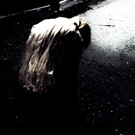 DISDAIN sin & Sytry Cart