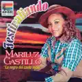 JOROPO ES LO QUE YO CANTO