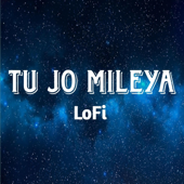 Tu Jo Mileya (Lofi)