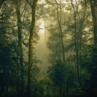 The Grove - Domy Castellano