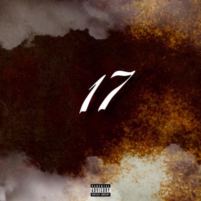 17 - Single