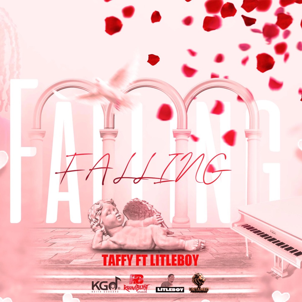 Обложка альбома «Falling (feat. Litleboy) - Single» — DJ Taffy