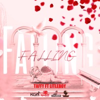 Falling (feat. Litleboy) - Single - DJ Taffy