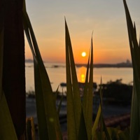 The Light Ahead - Single - Storrify