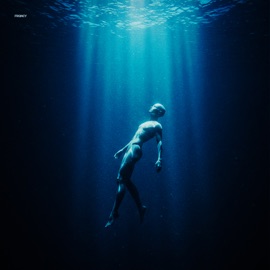 Reckless Heart VIVNS