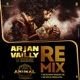 Arjan Vailly Remix Single