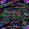 TWIST3D - azt008 lyrics