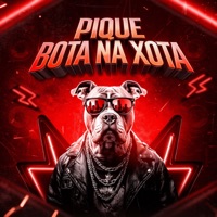 PIQUE BOTA NA XOTA (feat. FUNK ATIVO 031) - Single - MC LACK, MAX22 & Dj Pg Da Inestan