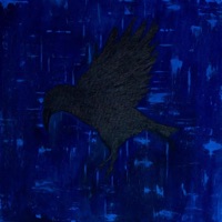 fly high - Single - ANON