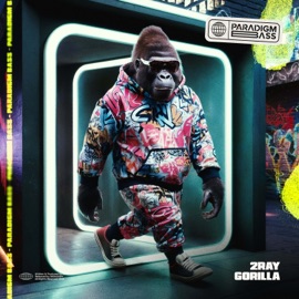 GORILLA 2RAY