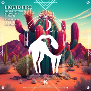 Liquid Fire - Single