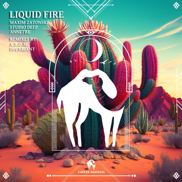 Liquid Fire - Single